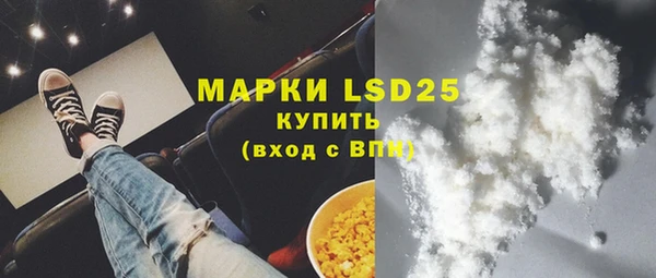 ПСИЛОЦИБИНОВЫЕ ГРИБЫ Алексин
