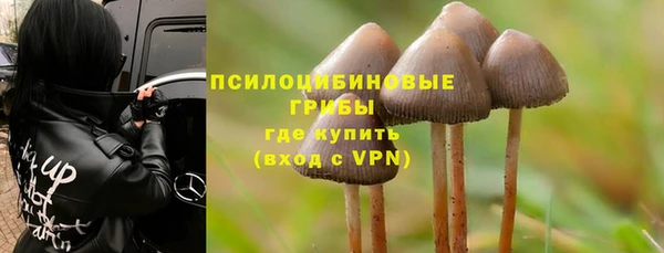ПСИЛОЦИБИНОВЫЕ ГРИБЫ Алексин