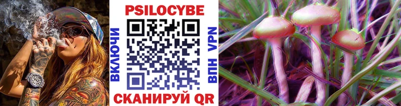 darknet телеграм  Миасс  Псилоцибиновые грибы Magic Shrooms 