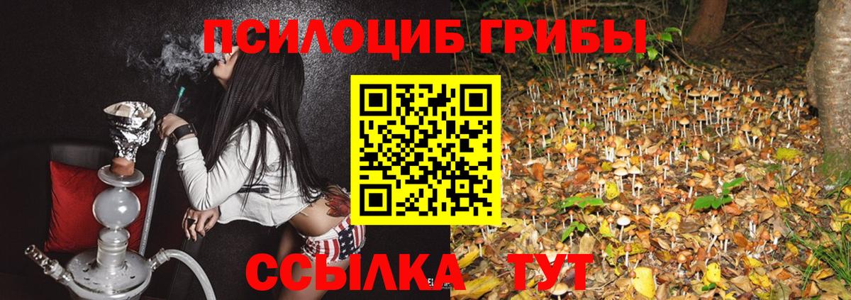 как найти наркотики  Галлюциногенные грибы Psilocybine cubensis  Вход с VPN  Галлюциногенные грибы прущие грибы  Миасс 